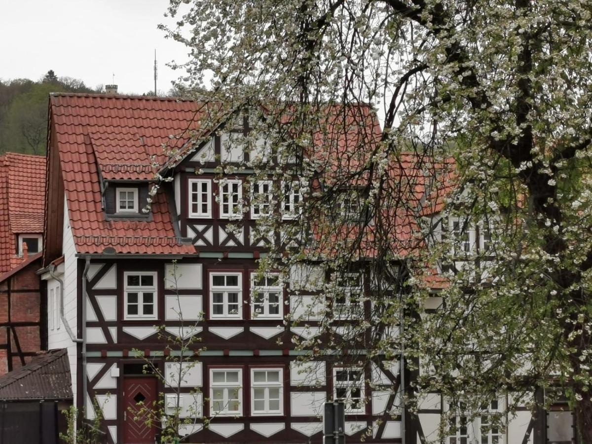 Ferienwohnung Am Aegidiiplatz Hannoversch Münden Eksteriør billede